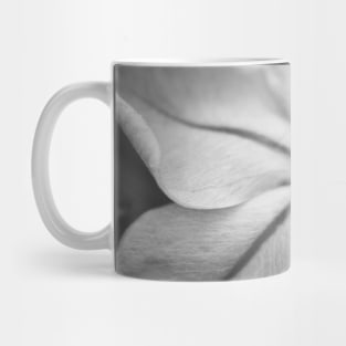 Delicate Bue Flower Photography V3 Mug